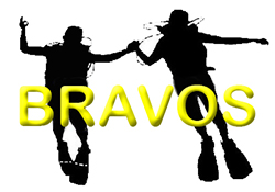 BRAVOS